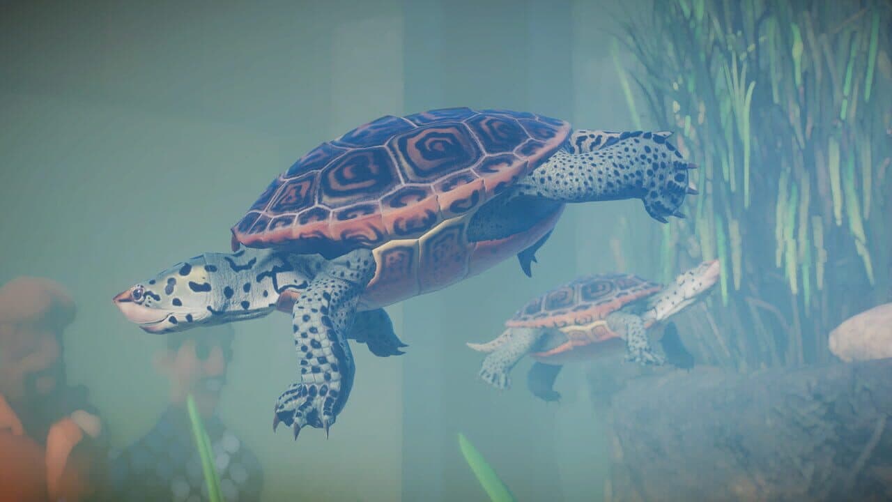 Planet Zoo: Aquatic Pack thumbnail 13