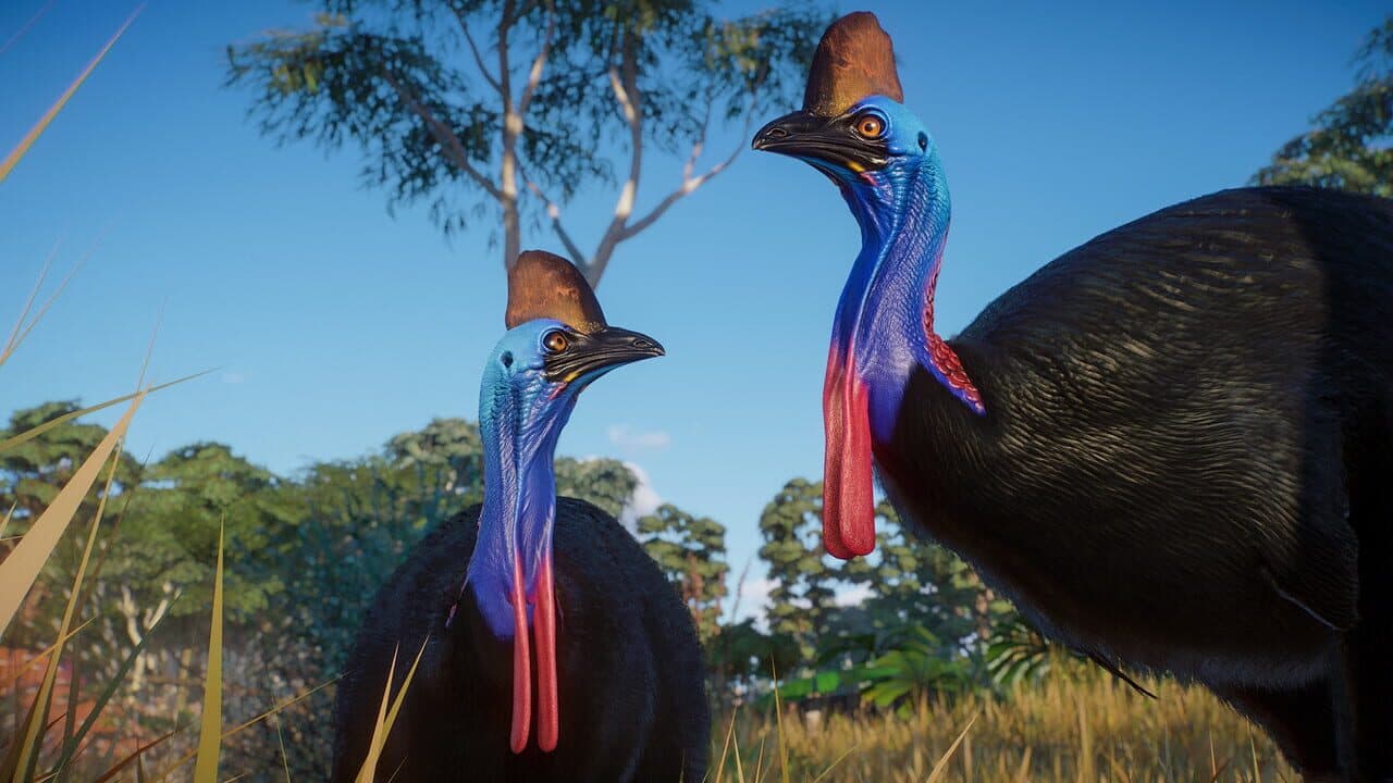 Planet Zoo: Australia Pack thumbnail 4