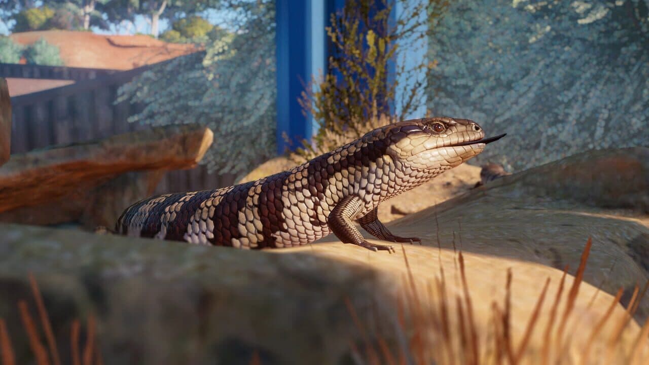 Planet Zoo: Australia Pack thumbnail 6