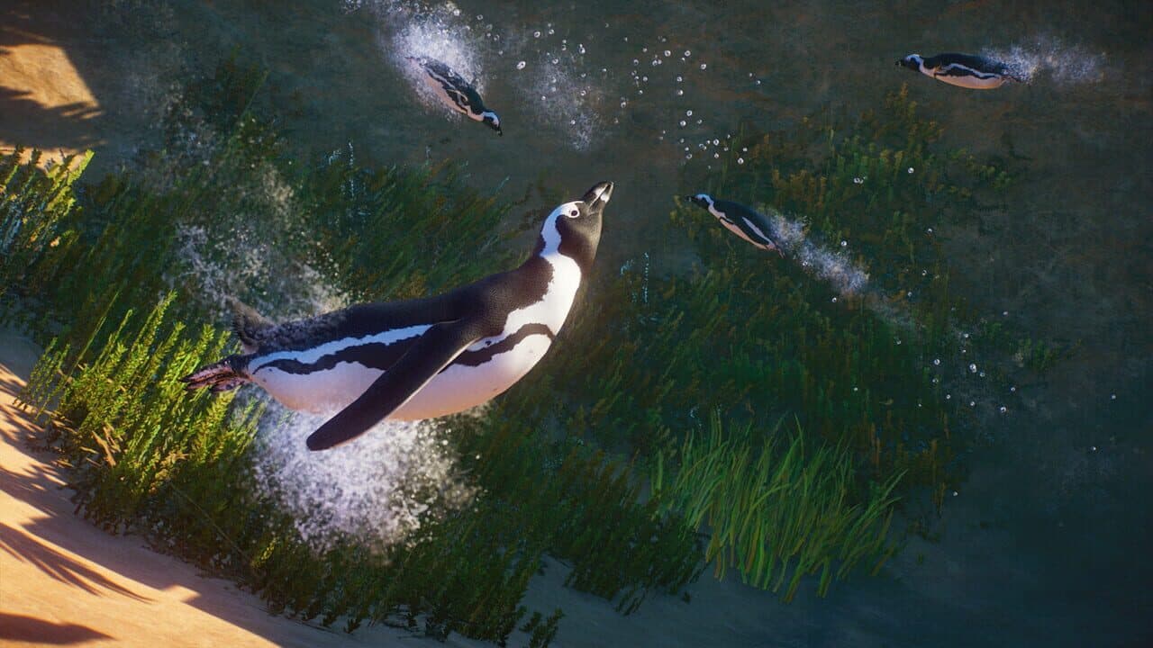 Planet Zoo: Africa Pack thumbnail 9
