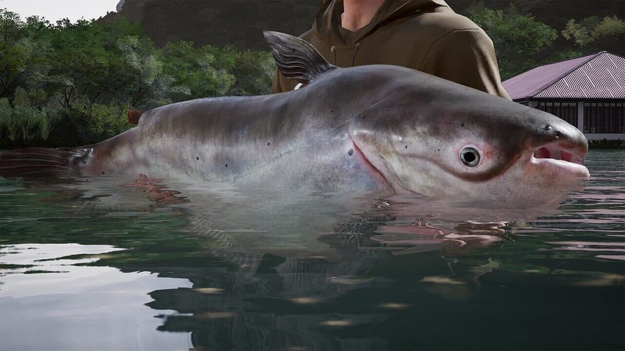 Fishing Sim World: Pro Tour - Giant Carp Pack thumbnail 9