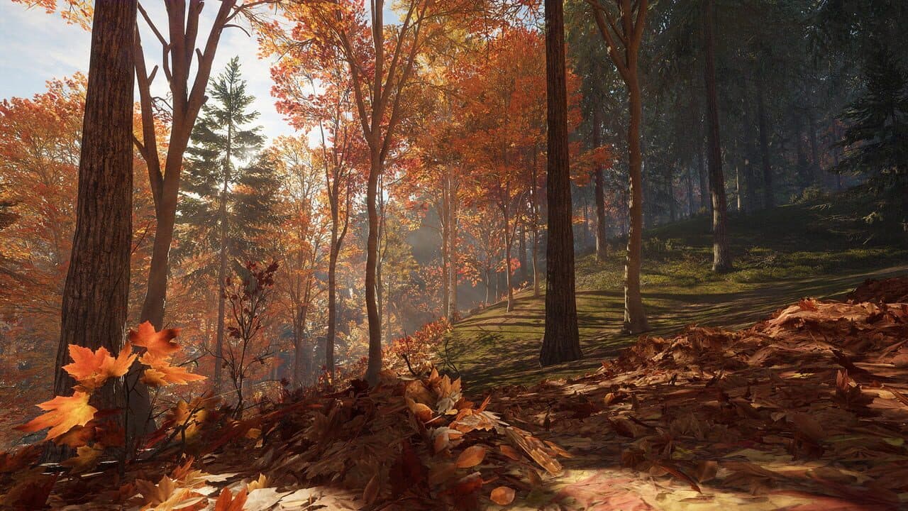 TheHunter: Call of the Wild - New England Mountains thumbnail 9