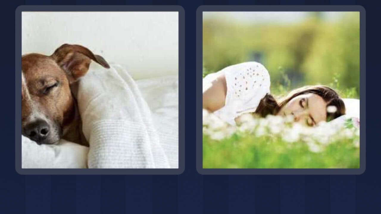 4 Pics 1 Word thumbnail 4