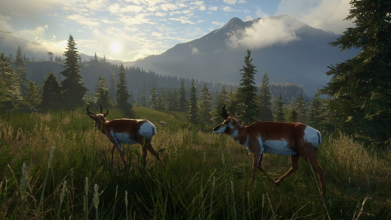 TheHunter: Call of the Wild - Master Hunter Bundle thumbnail 5