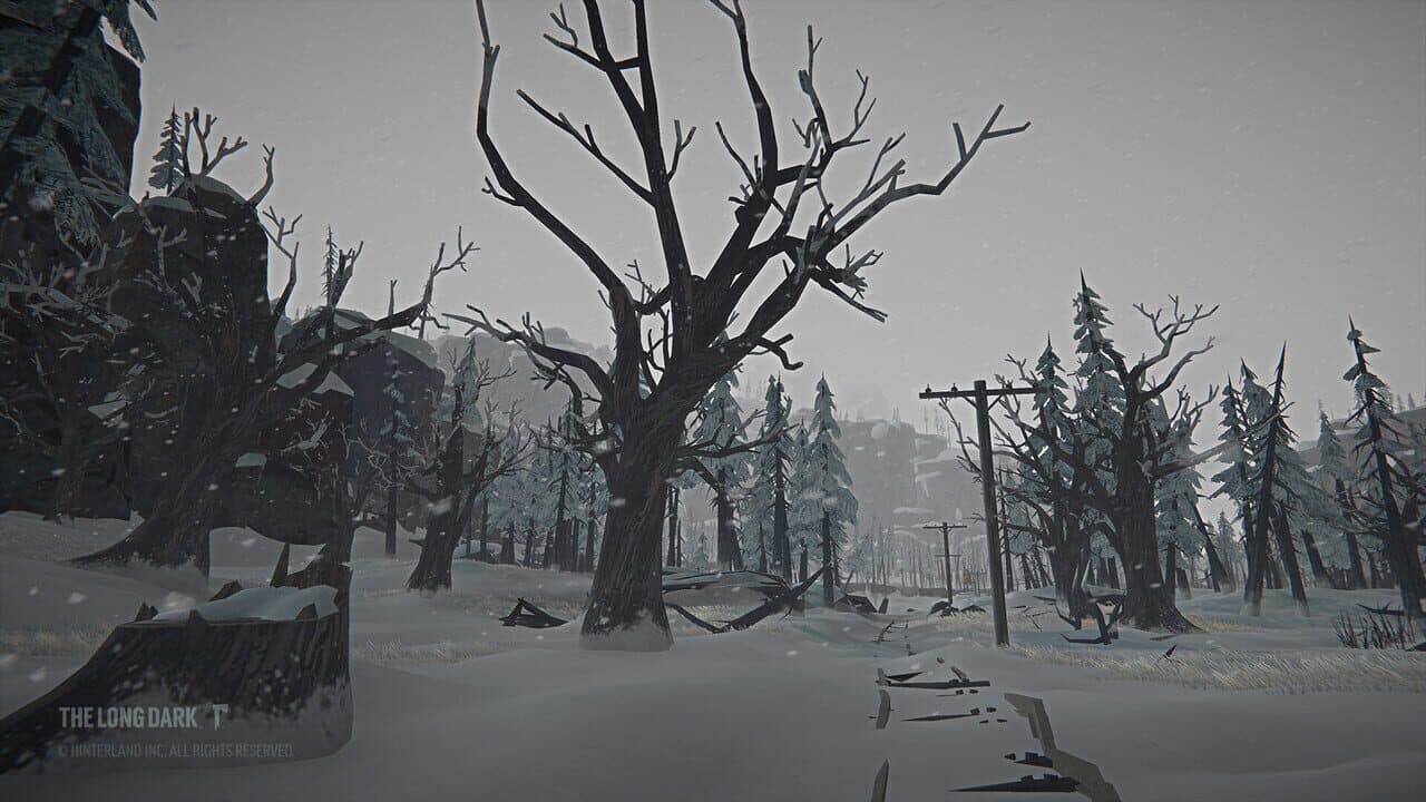 The Long Dark: Tales from the Far Territory thumbnail 3