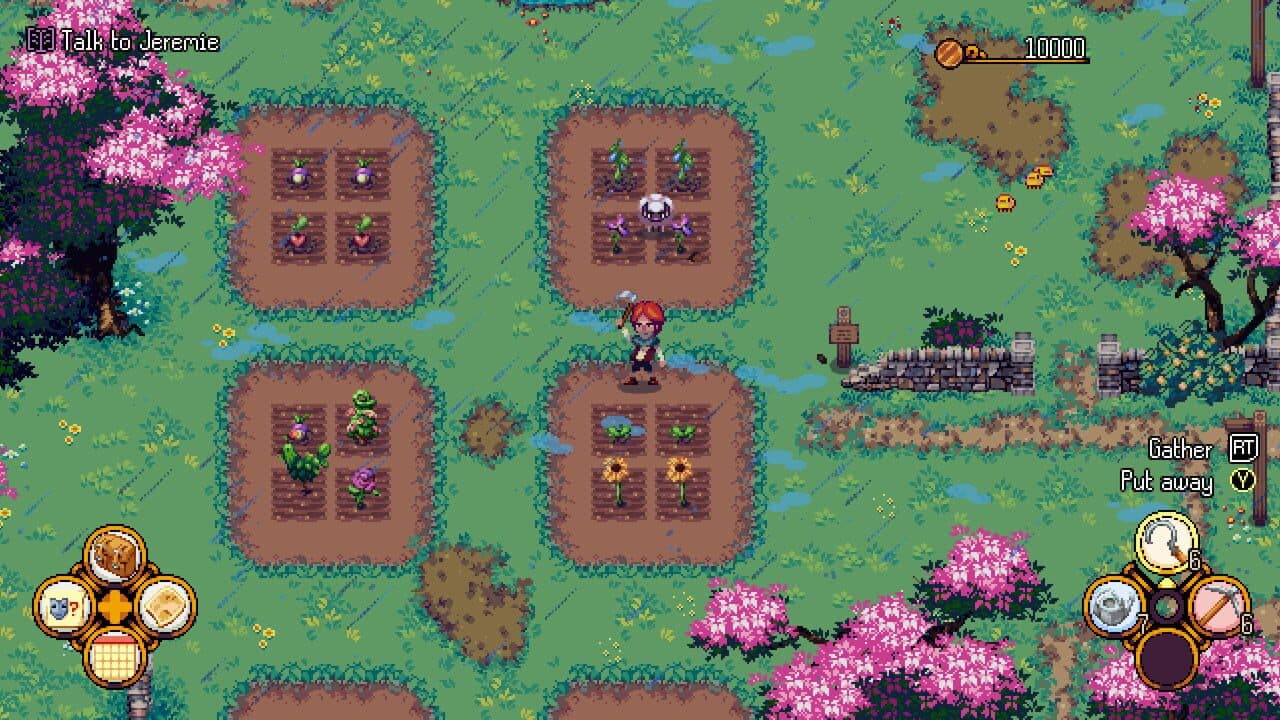 Kynseed thumbnail 10