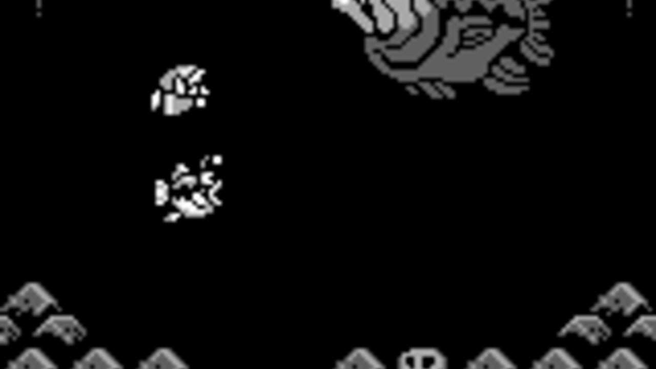 The Legend of Zelda: Link's Awakening screenshot 1