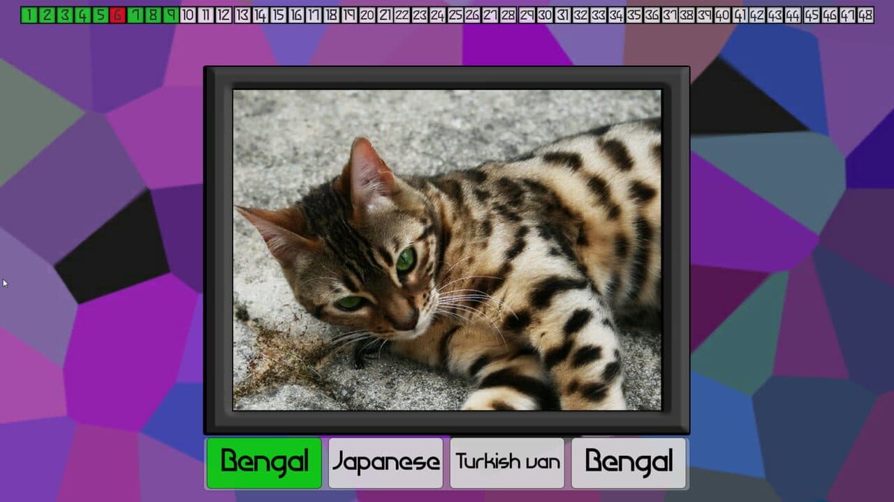 Test Your Knowledge: Cats thumbnail 2