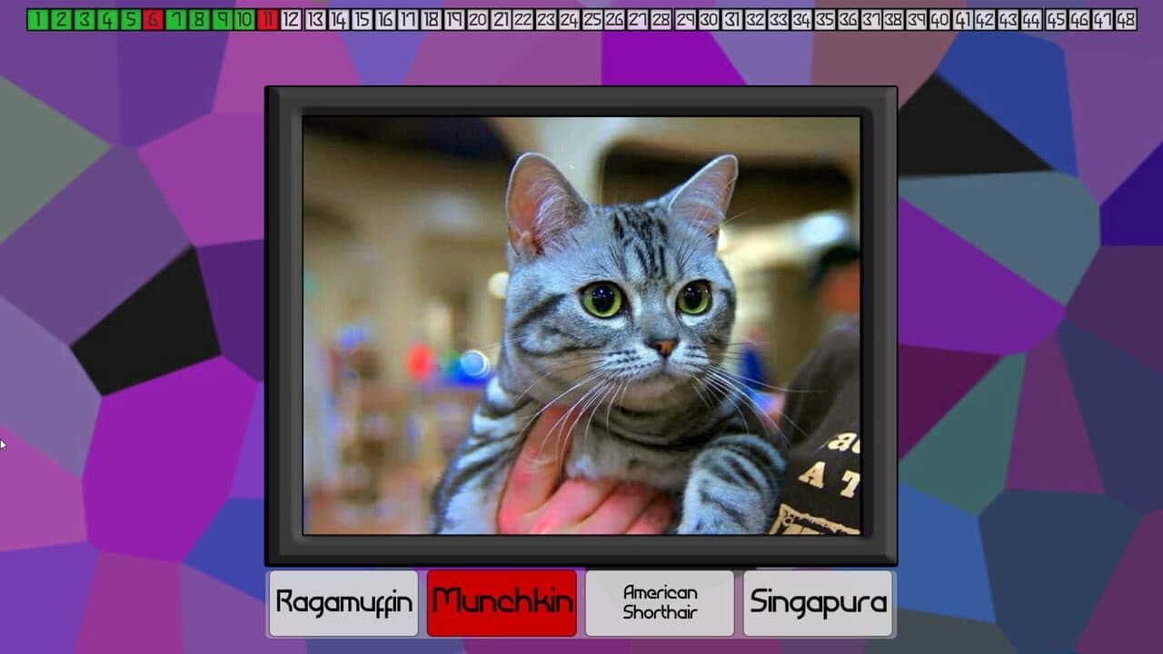 Test Your Knowledge: Cats screenshot 1