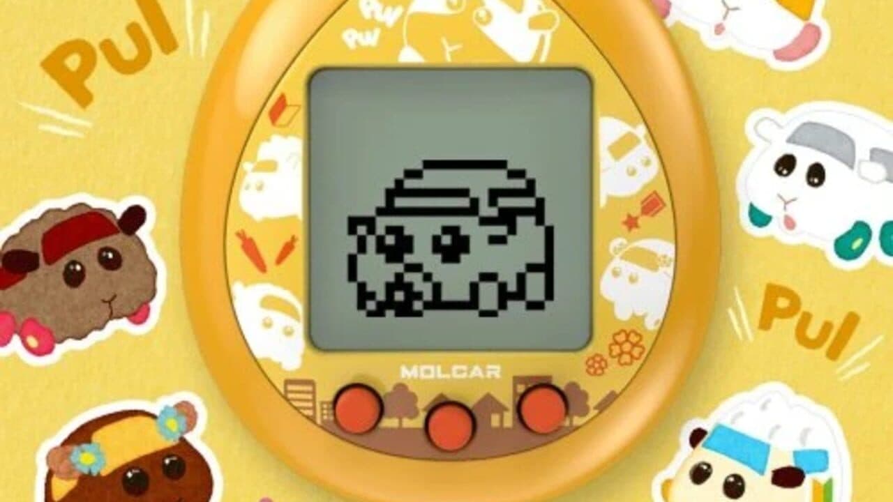 Pui Pui Molcartchi thumbnail 3