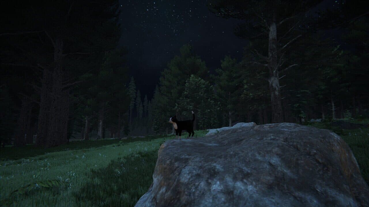 Cat Life thumbnail 6
