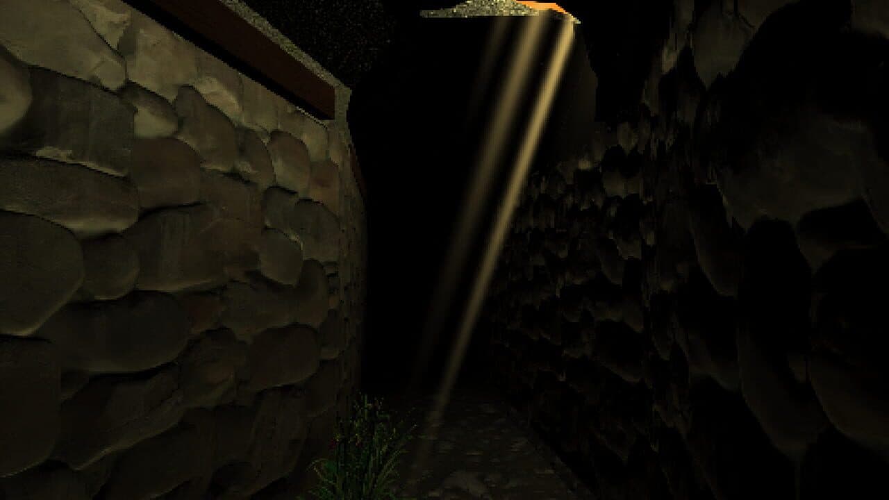 Schizophrenic Rooms thumbnail 5