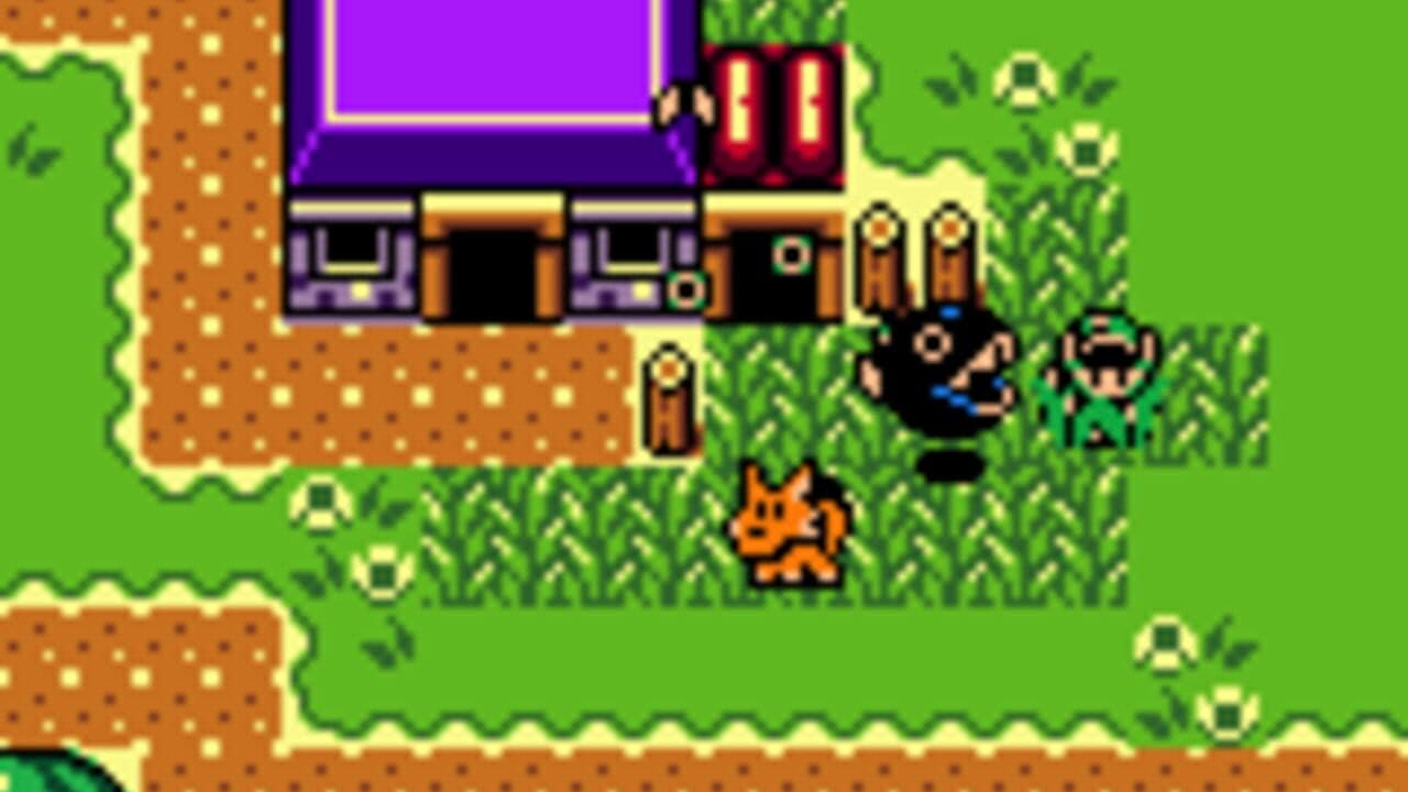 The Legend of Zelda: Link's Awakening DX thumbnail 3