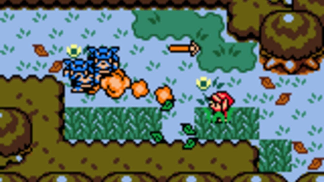 The Legend of Zelda: Link's Awakening DX screenshot 1