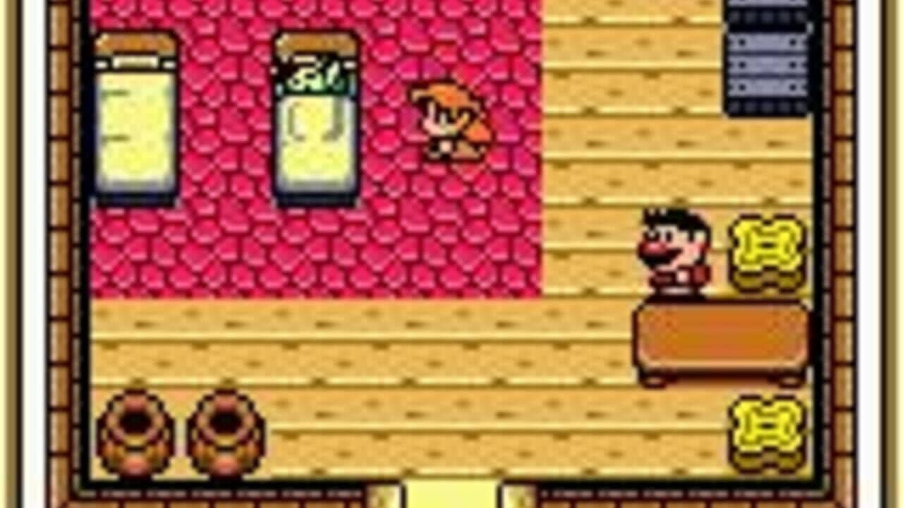 The Legend of Zelda: Link's Awakening DX thumbnail 4