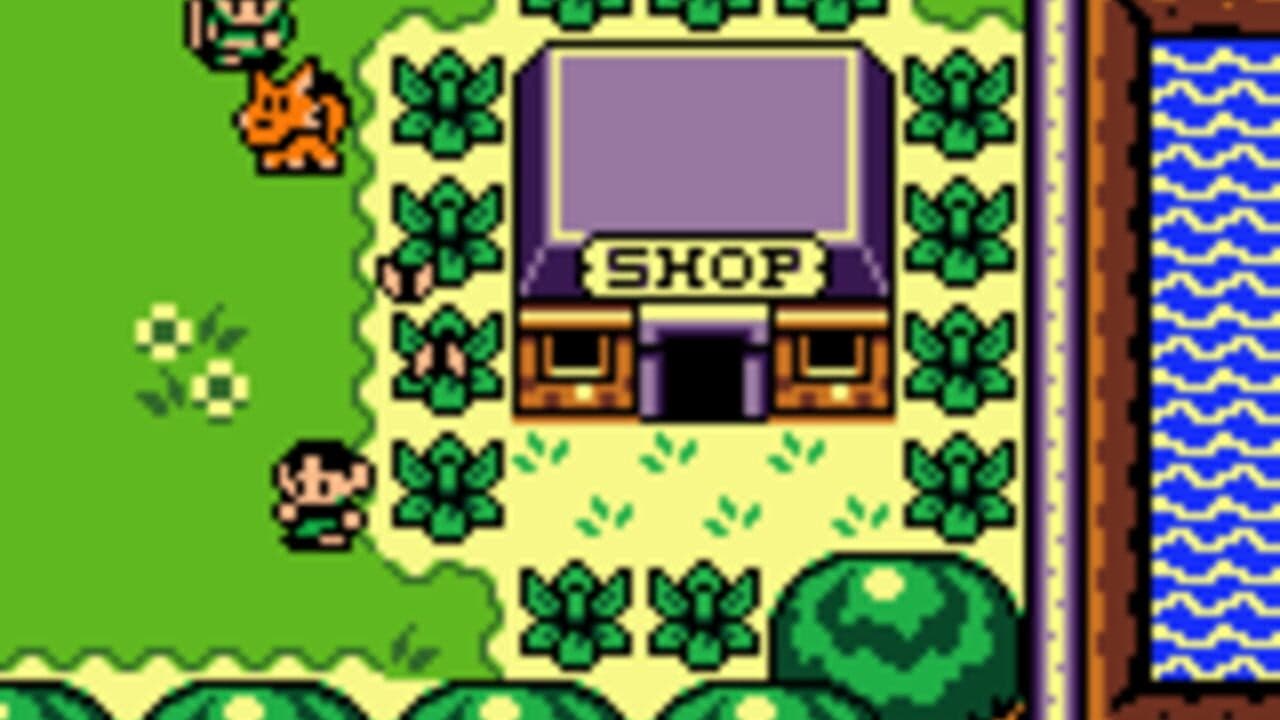 The Legend of Zelda: Link's Awakening DX thumbnail 7