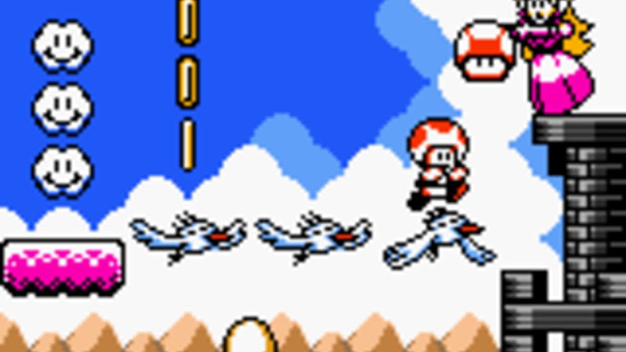 Turtle Bridge thumbnail 3
