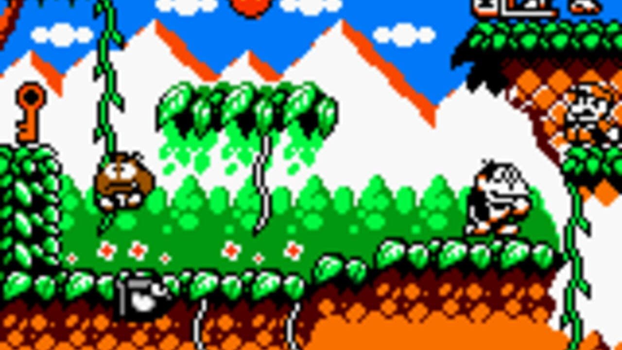 Donkey Kong Jr. screenshot 1