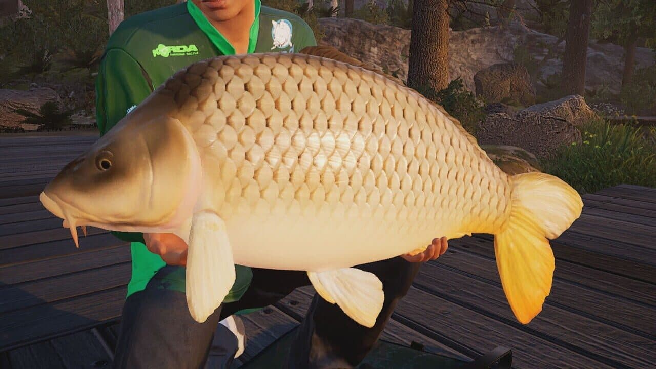 Fishing Sim World: Pro Tour - Deluxe Edition thumbnail 6