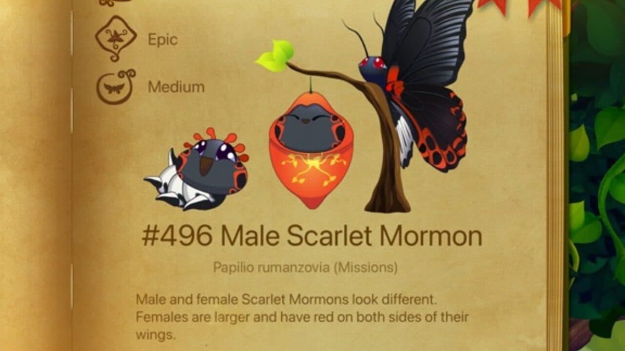 Flutter: Butterfly Sanctuary thumbnail 5