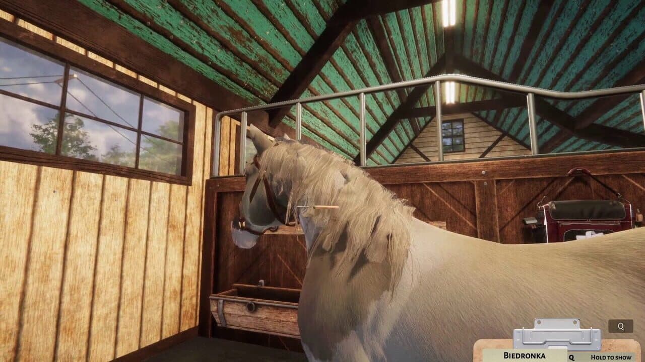 Animal Shelter Simulator: Horse Shelter DLC thumbnail 11