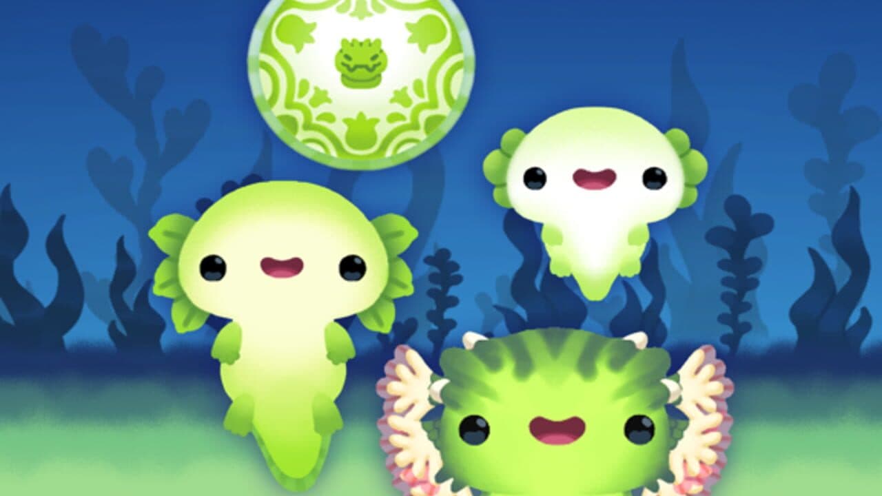 Axolochi thumbnail 4