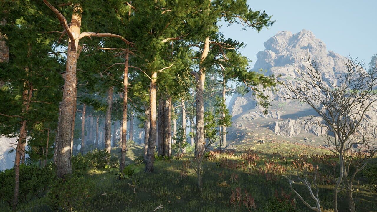 The Archipelago Promise thumbnail 7