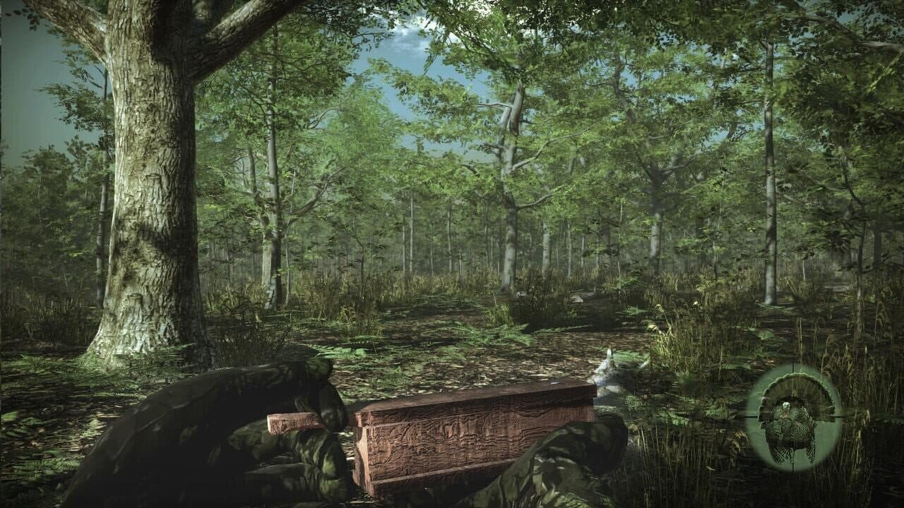 Pro Turkey Hunting thumbnail 2