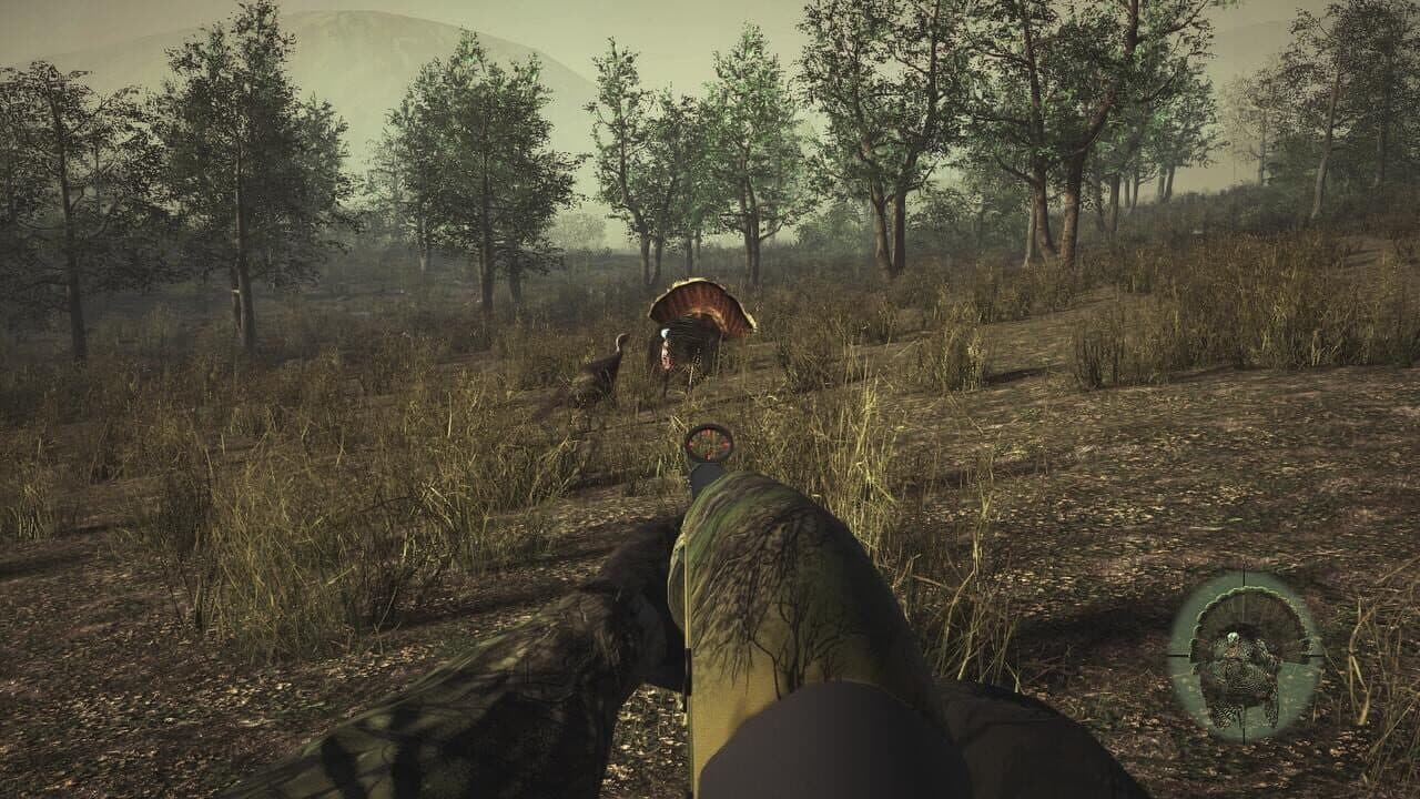 Pro Turkey Hunting thumbnail 3