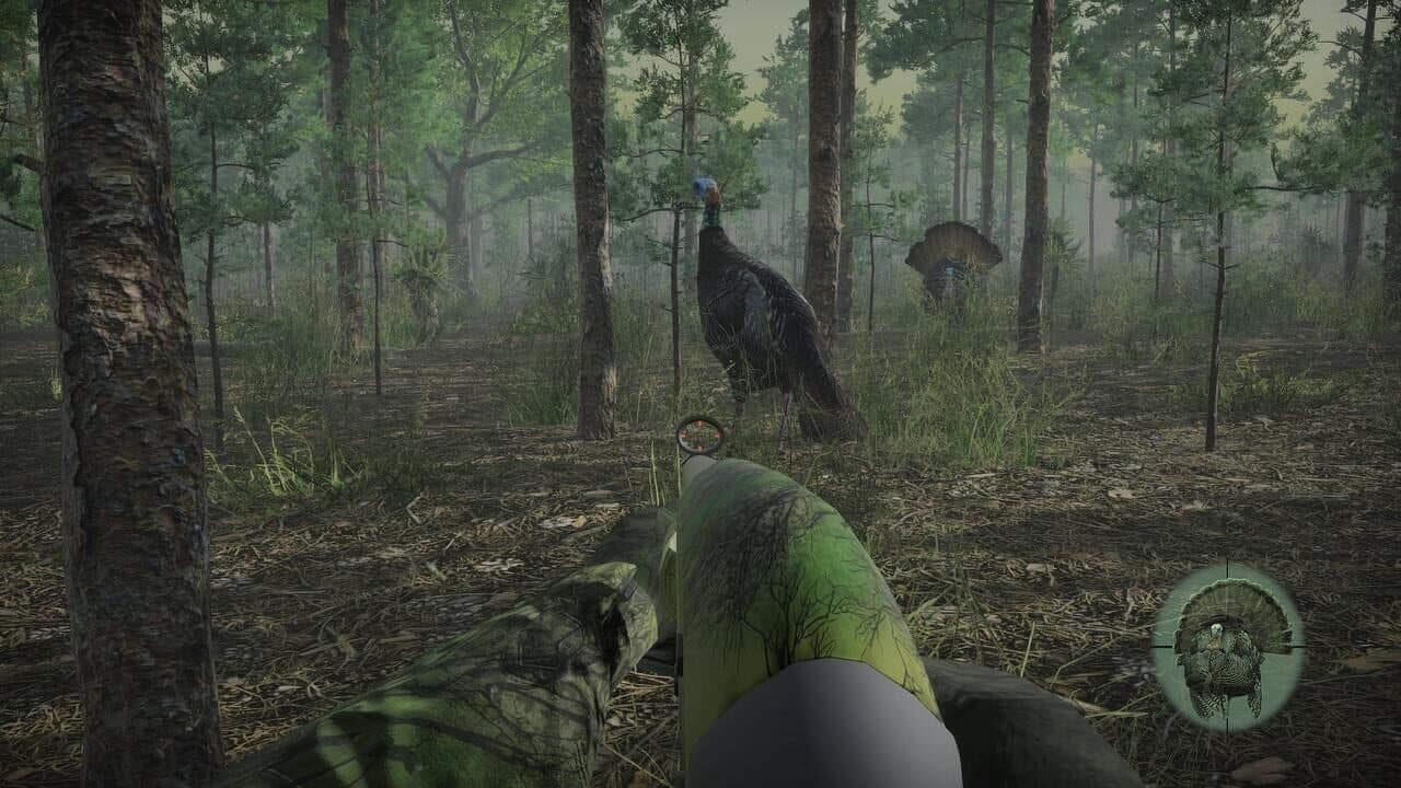 Pro Turkey Hunting thumbnail 7