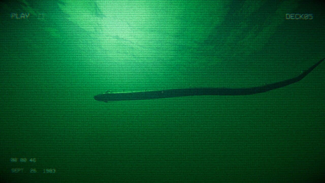 Full Fathom thumbnail 4
