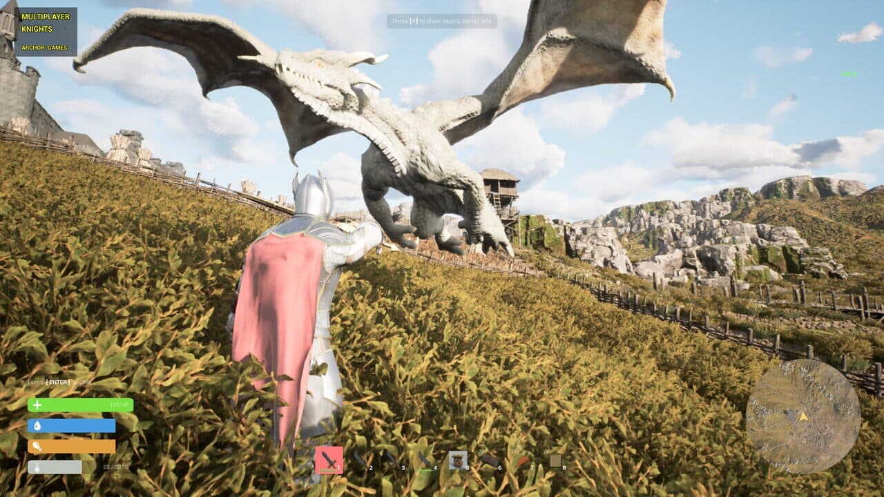 Multiplayer Knights thumbnail 6