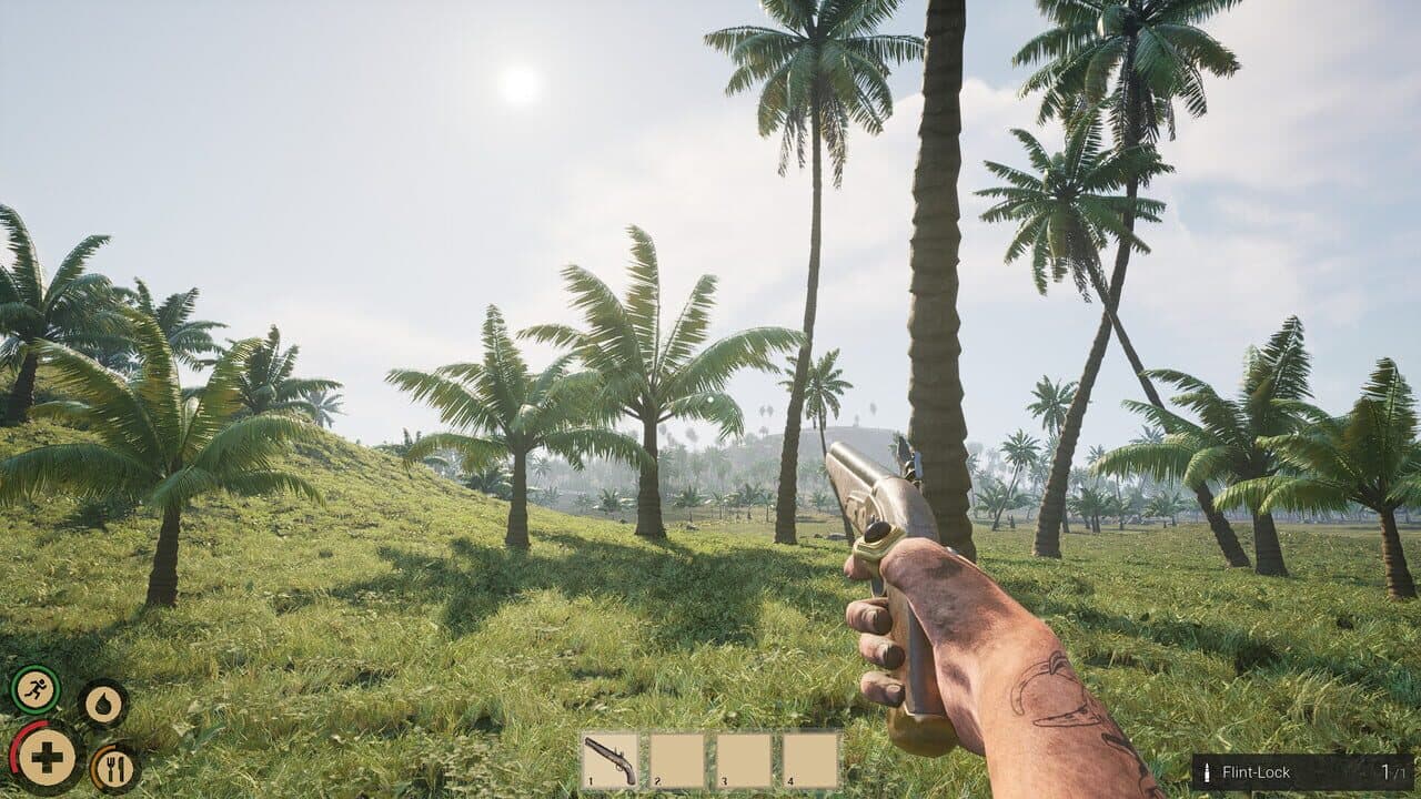 Pirates Journey thumbnail 9