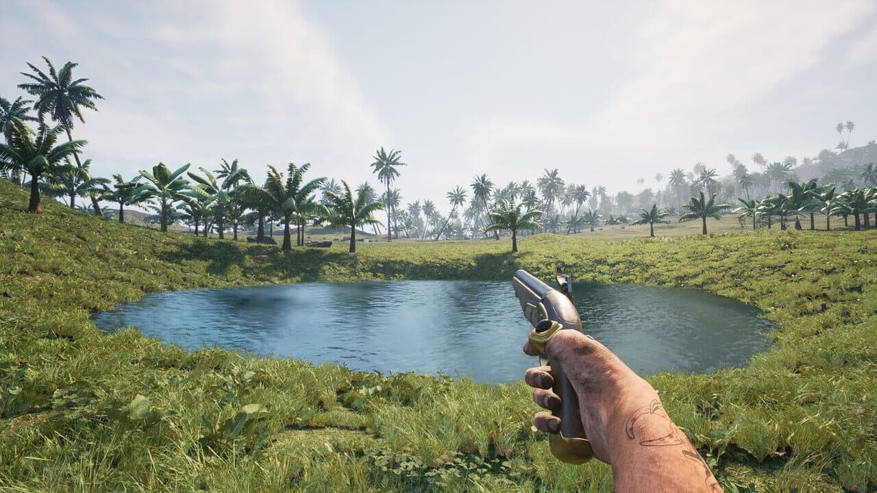 Pirates Journey thumbnail 14