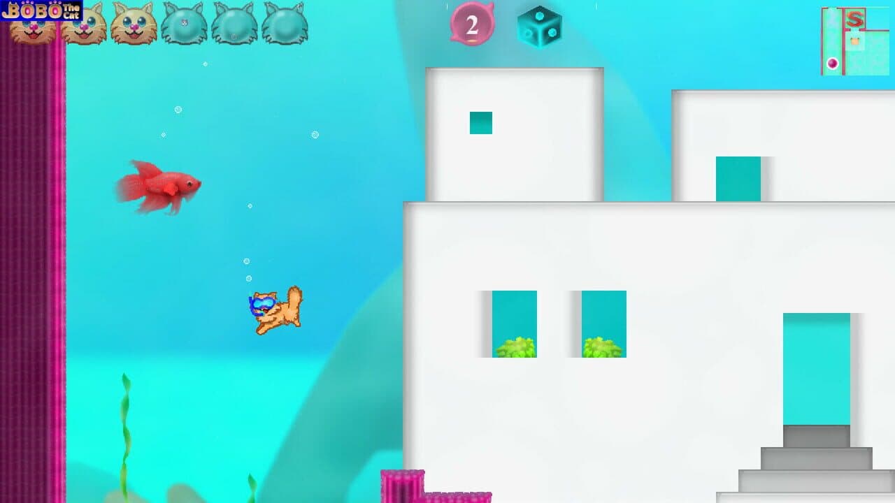 Bobo the Cat thumbnail 3
