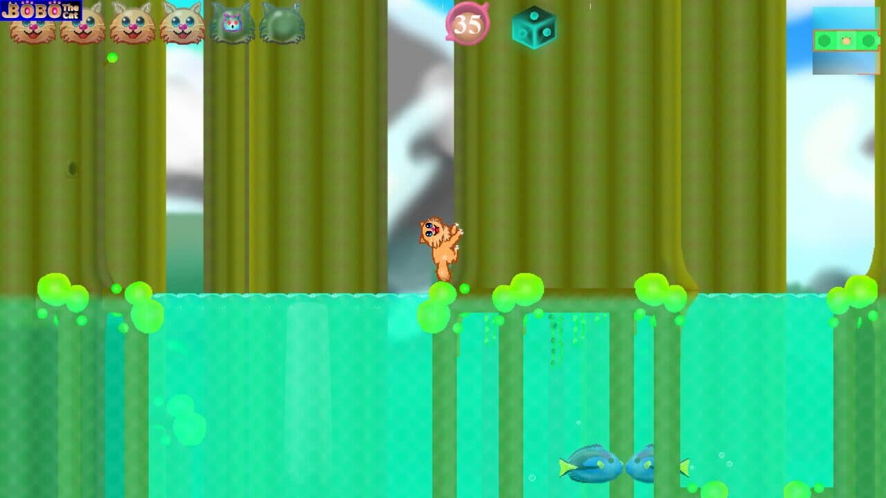 Bobo the Cat thumbnail 4