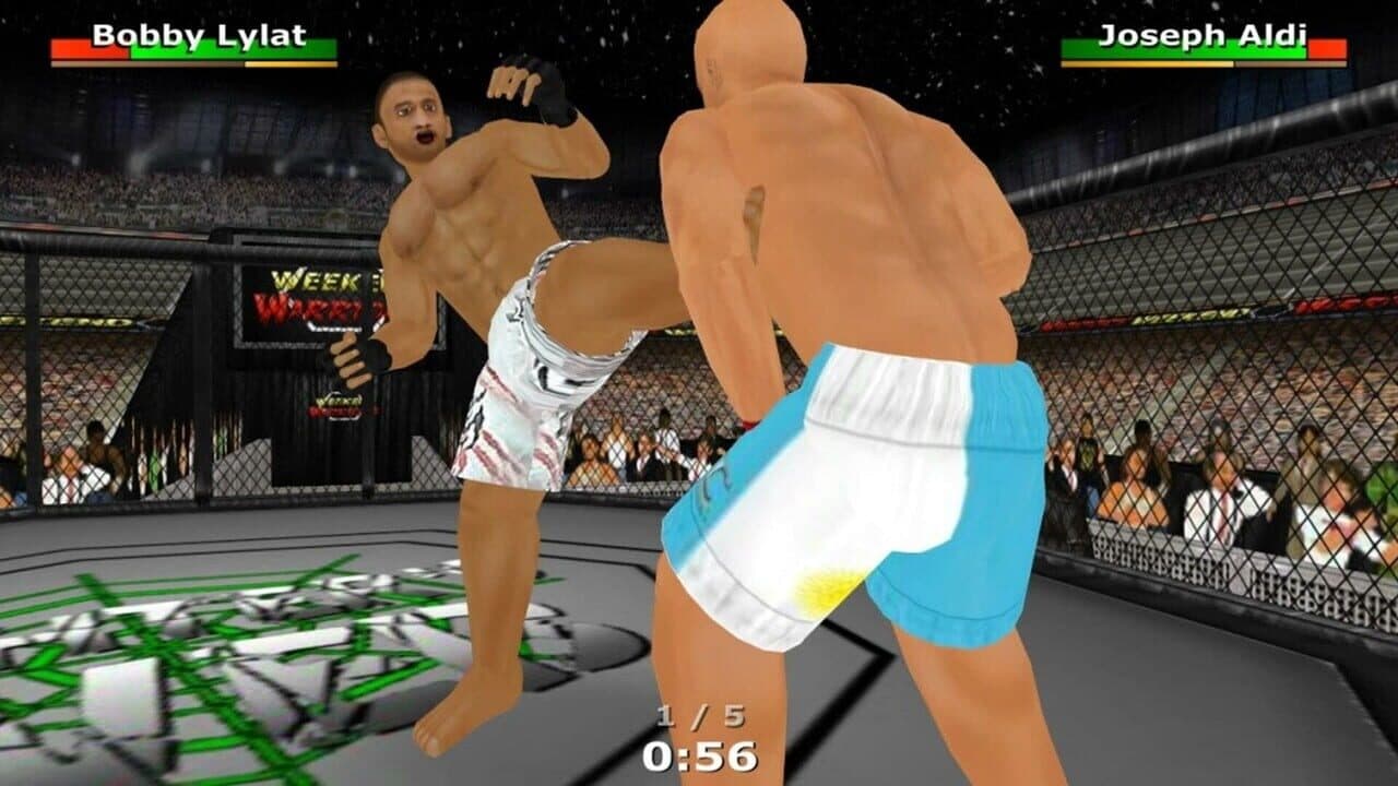 Weekend Warriors MMA thumbnail 9