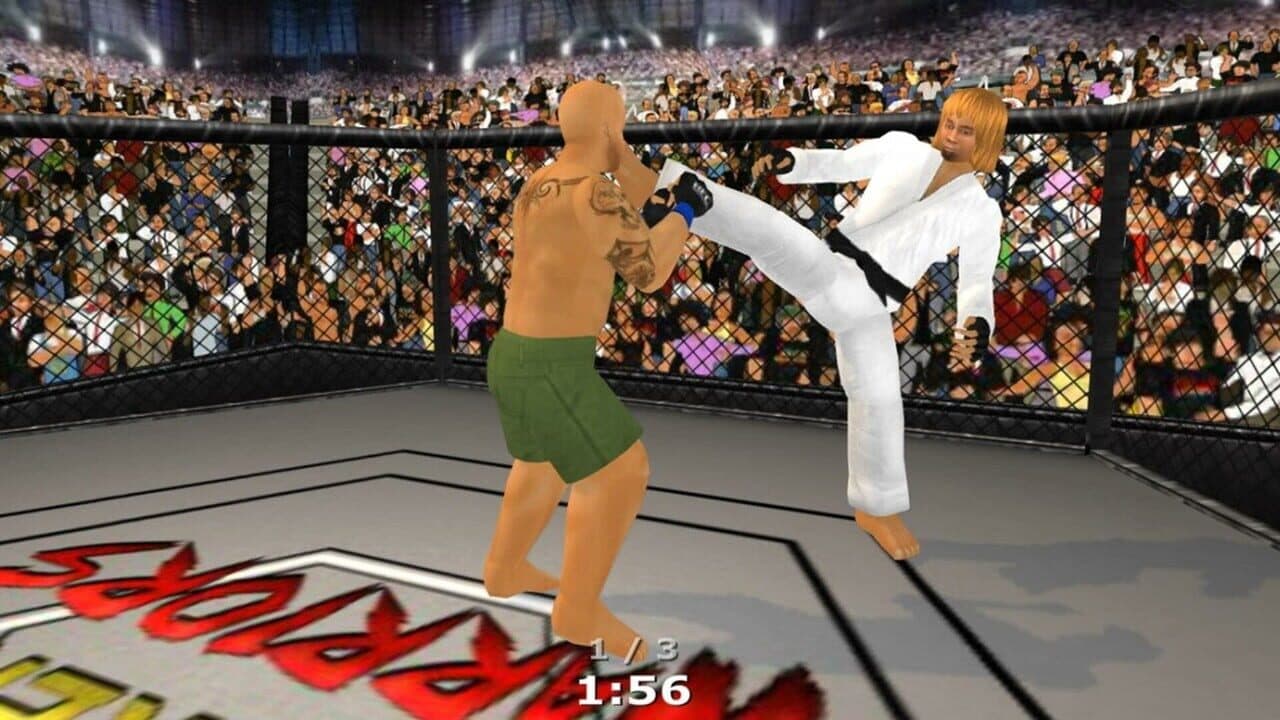 Weekend Warriors MMA thumbnail 13