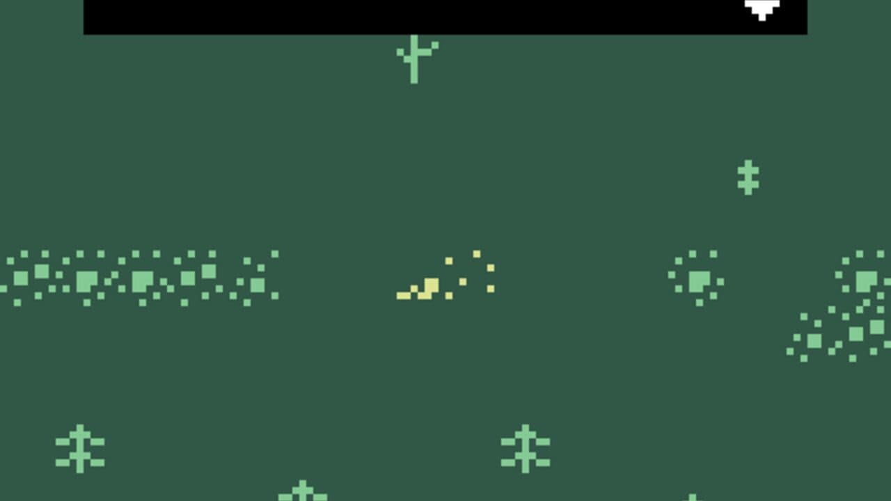 Camphor thumbnail 2
