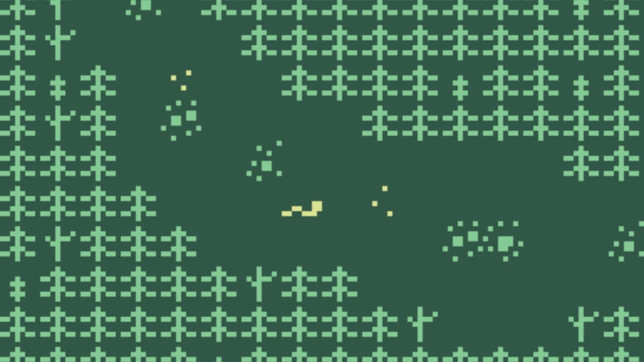 Camphor thumbnail 3