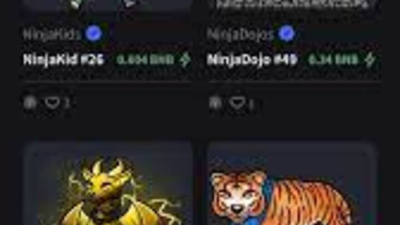 NinjaFT thumbnail 3