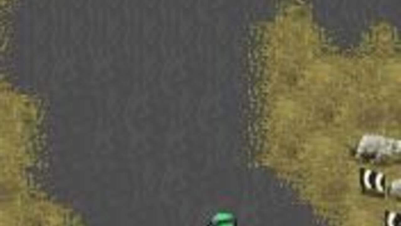 Colin McRae Rally 04 thumbnail 4