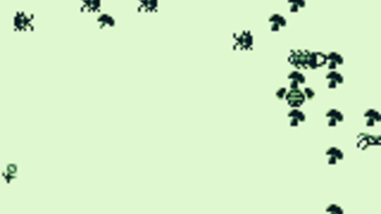 Millipede thumbnail 3