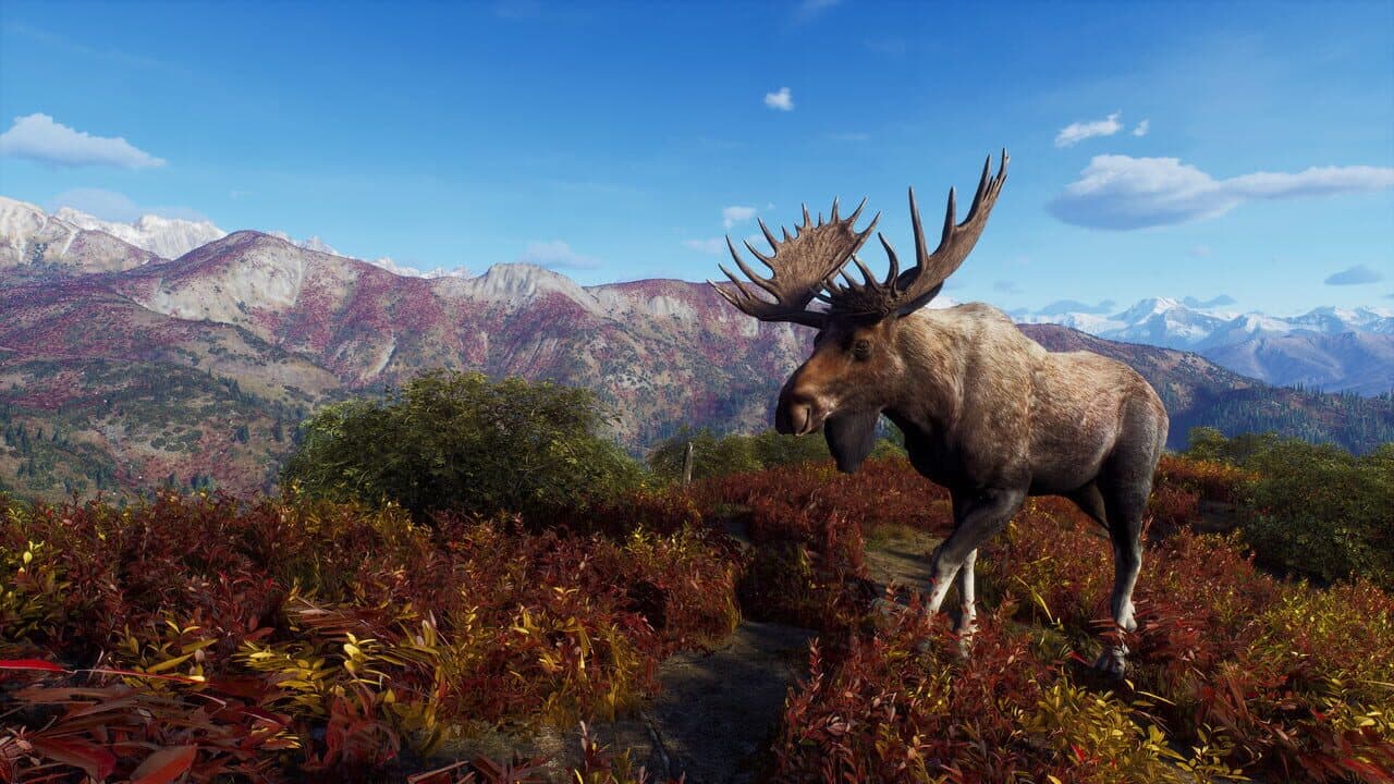 Way of the Hunter: Aurora Shores thumbnail 20