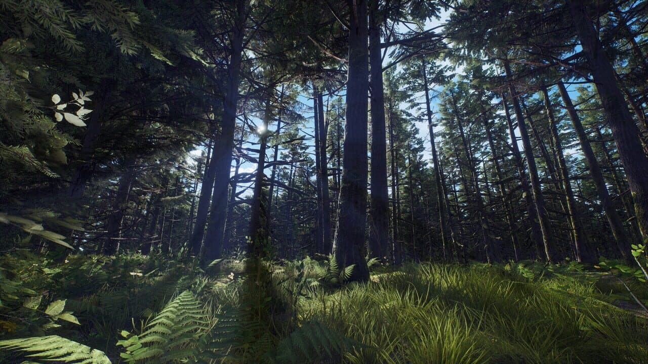 Way of the Hunter: Aurora Shores thumbnail 2