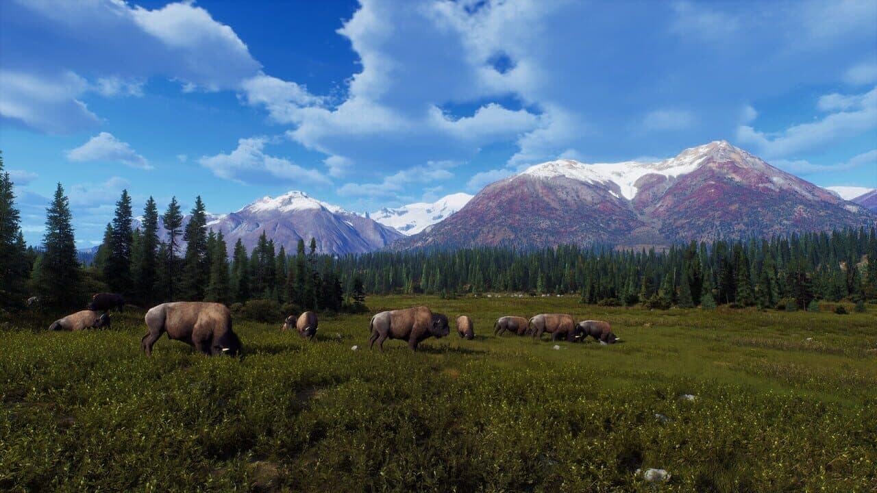 Way of the Hunter: Aurora Shores thumbnail 8