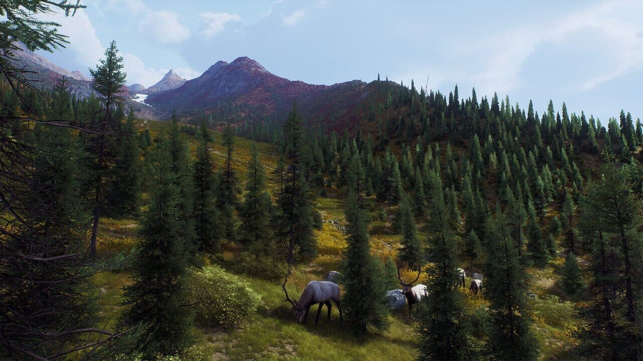 Way of the Hunter: Aurora Shores thumbnail 13