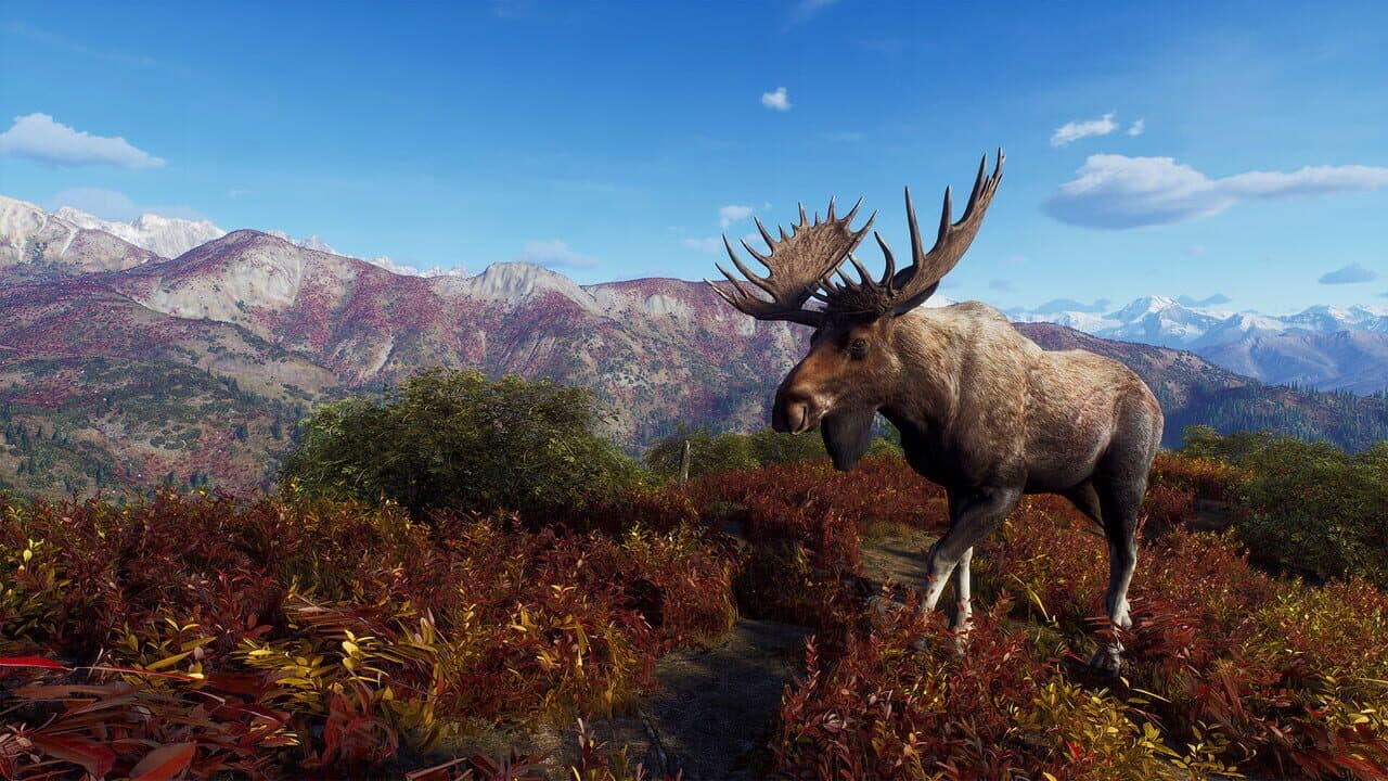 Way of the Hunter: Aurora Shores thumbnail 14