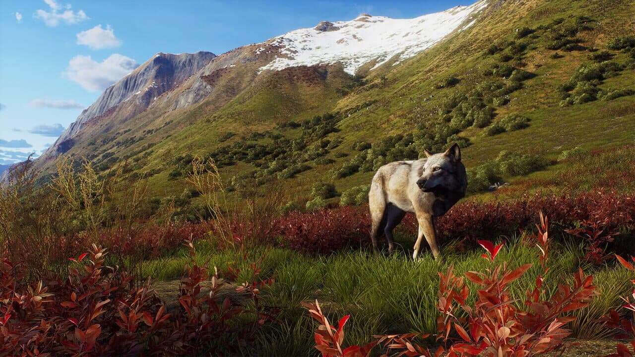 Way of the Hunter: Aurora Shores thumbnail 16