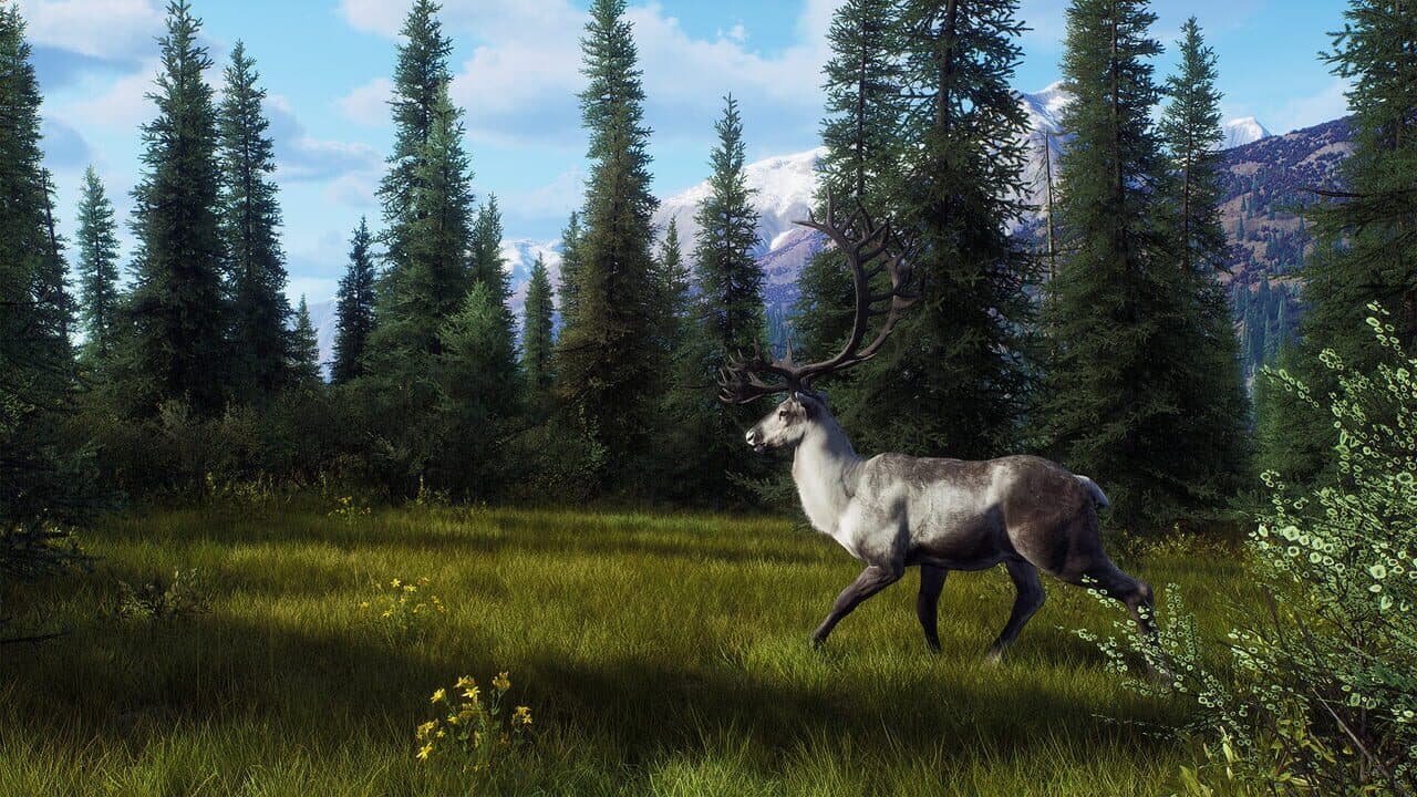 Way of the Hunter: Aurora Shores thumbnail 18